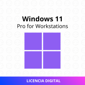 Windows 11 Pro for Workstations Retail