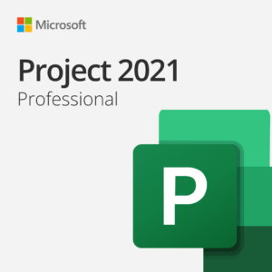 Project 2021 Professional Retail