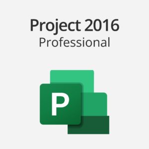 Project 2016 Professional Retail