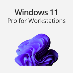 Windows 11 Pro for Workstations Retail